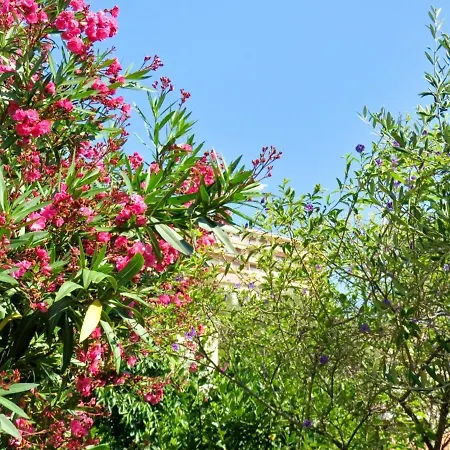Maison De 2 A Di Pietrabugno A 600 M De La Avec Vue Sur La Jardin Clos Et Wifi فندق 3*