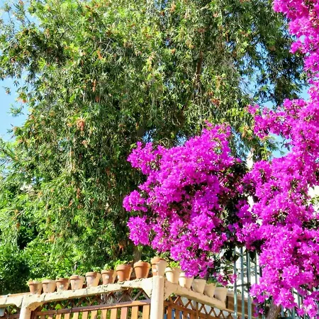Maison De 2 A Di Pietrabugno A 600 M De La Avec Vue Sur La Jardin Clos Et Wifi